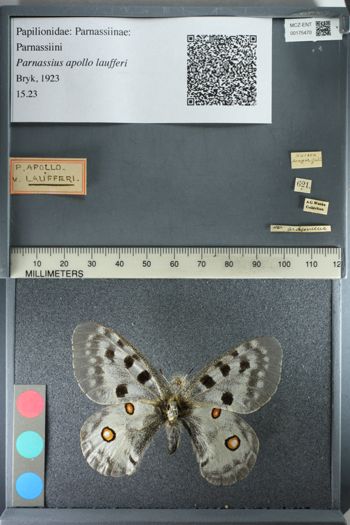 Media type: image;   Entomology 175470